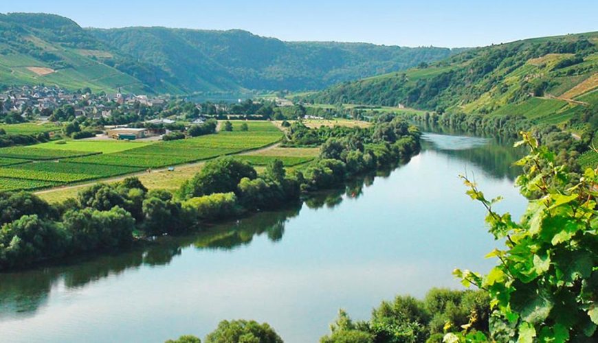 Moselle
