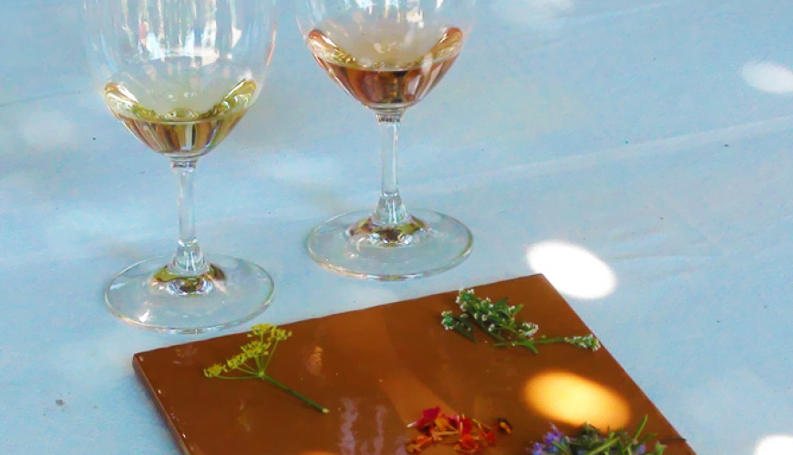 wine tasting