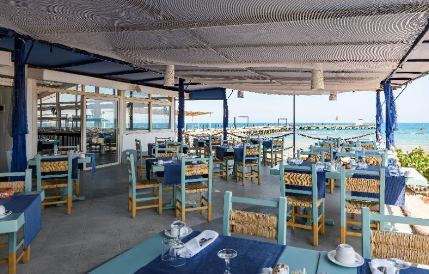 Desert Rose Resort