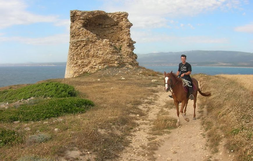 Horse Country Resort