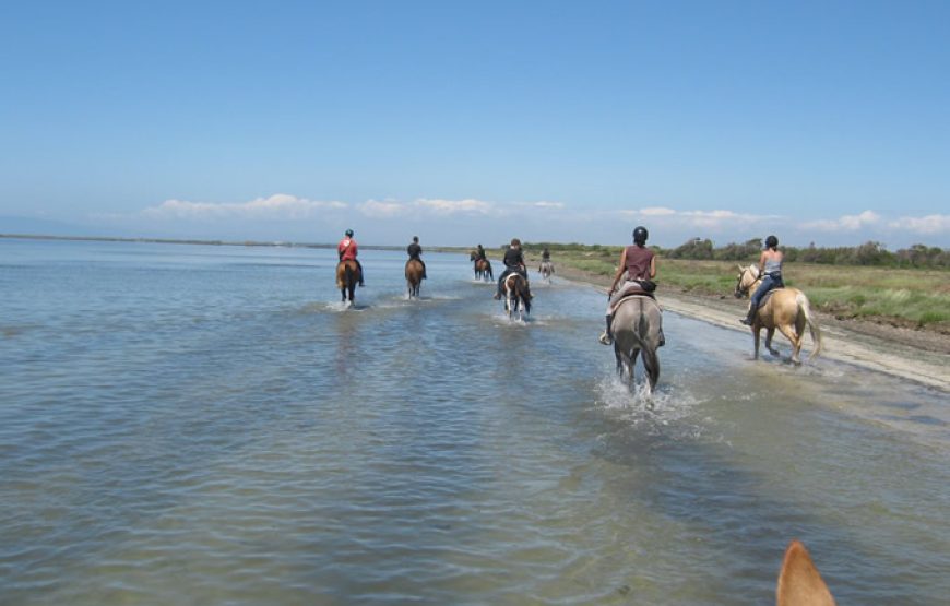 Horse Country Resort
