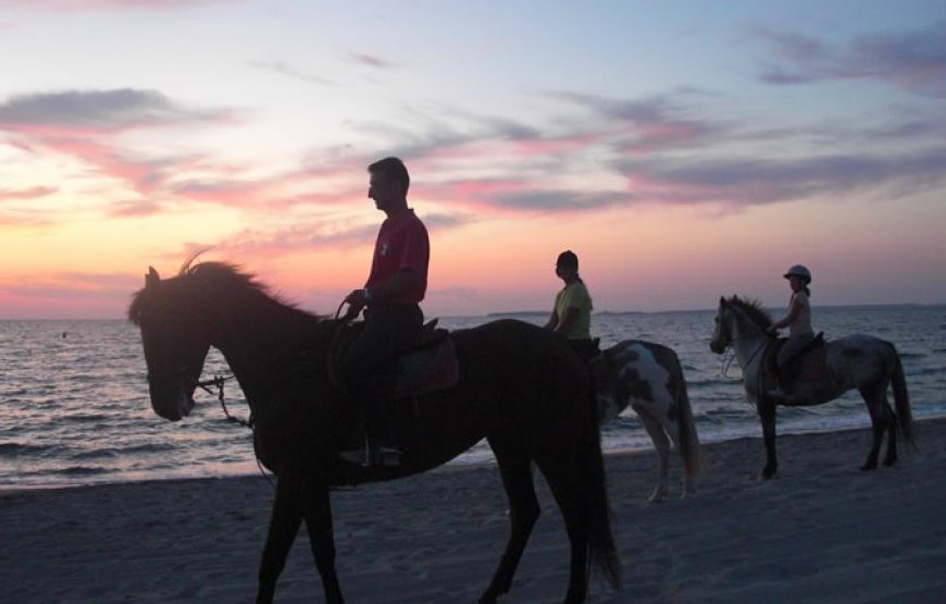 Horse Country Resort