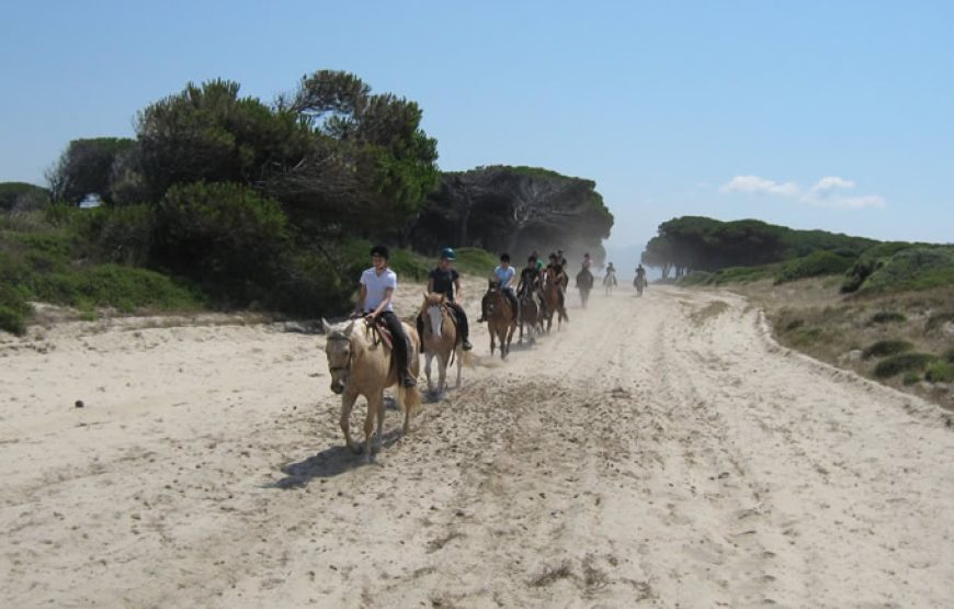 Horse Country Resort
