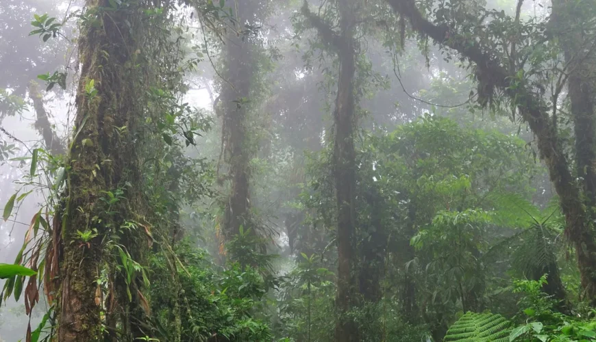 Costa Rica Tour