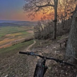 Moselle e-bike tours