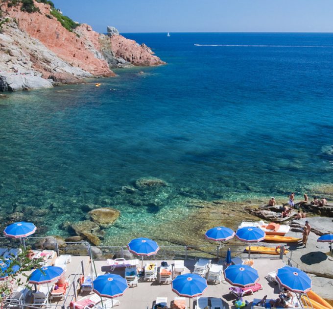 Telis