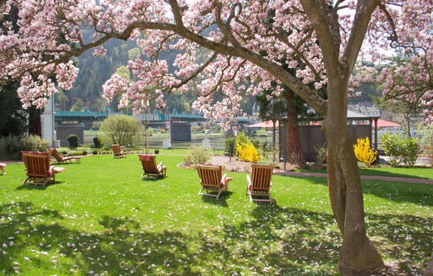 Moselschlösschen Spa & Resort