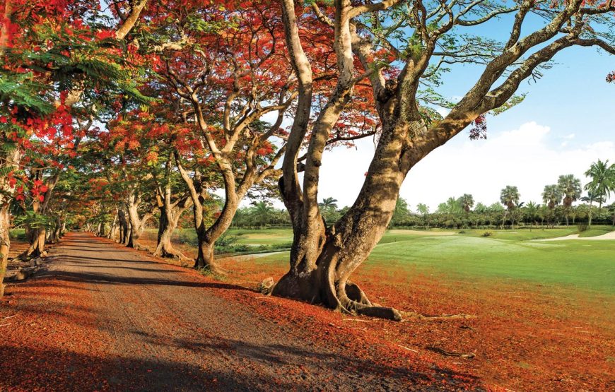 Trou aux Biches Beachcomber Golf Resort & Spa