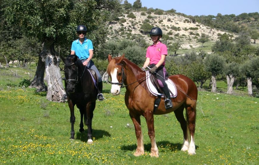 Aphrodite Hills Resort