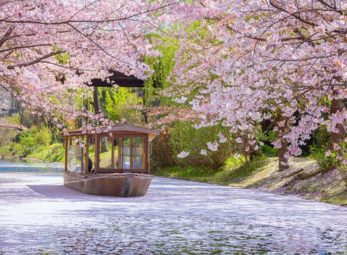 Japan Tour kyoto Fushimi Jikkokubune Boat