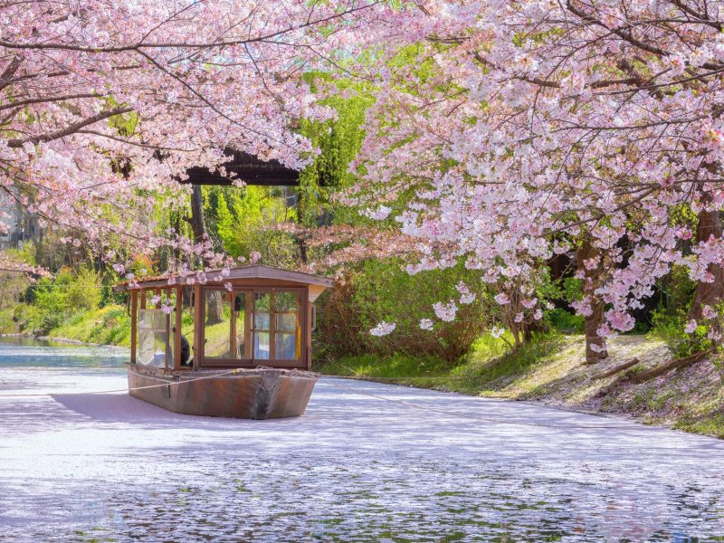 Japan Tour kyoto Fushimi Jikkokubune Boat