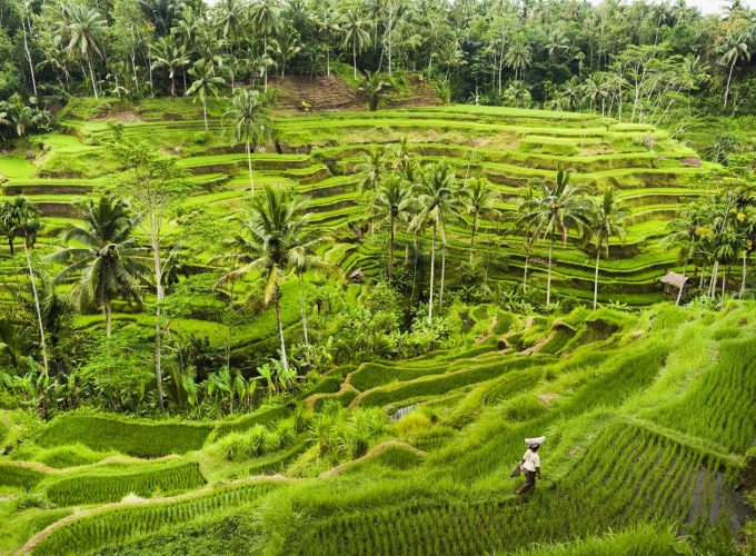 Bali Rundreise