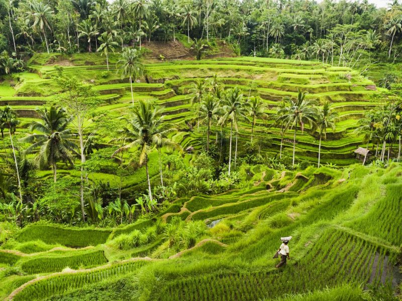 Bali Rundreise