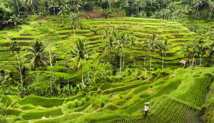 Bali Rundreise