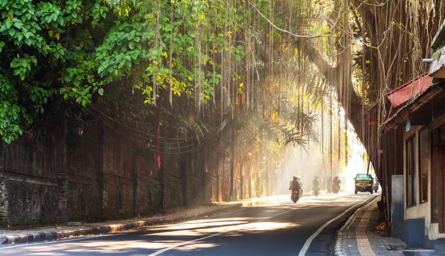 Bali Round Trip