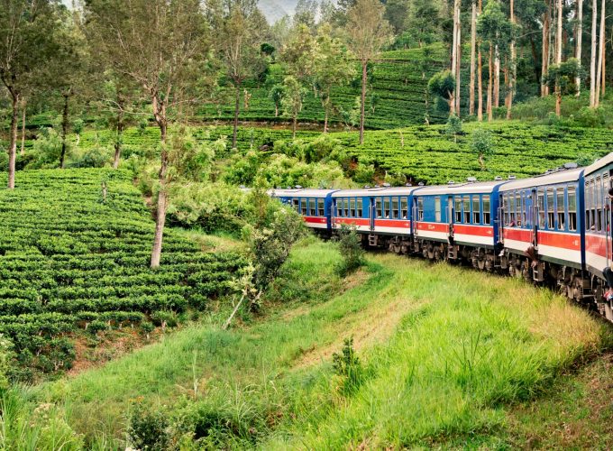 Sri Lanka Round Trip