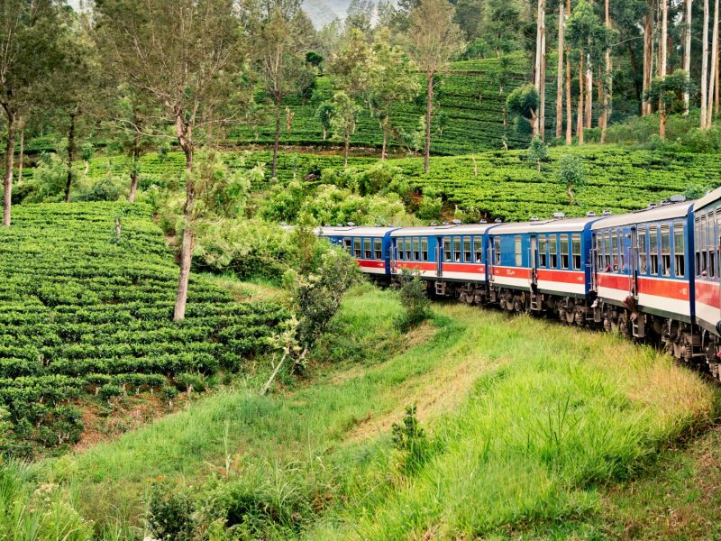 Sri Lanka Round Trip