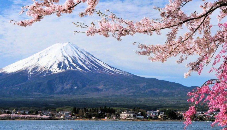 Japan Geisha Tour Fuji