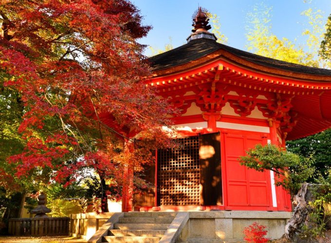Kyoto Tofuku Ji Temple