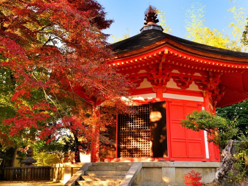 Kyoto Tofuku Ji Temple